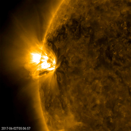 NASA's Solar Dynamics Observatory observed a pair of relatively small (but frenetic) active regions rotated into view, spouting off numerous small flares and sweeping loops of plasma (May 31-June 2, 2017).