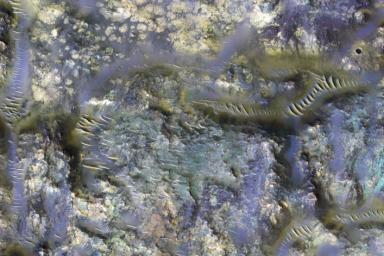This image from NASA's Mars Reconnaissance Orbiter shows the exposed bedrock of an ejecta blanket of an unnamed crater in the Mare Serpentis region of Mars.