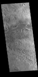 This image captured by NASA's 2001 Mars Odyssey spacecraft shows part of Granicus Valles.