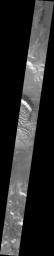 This image captured by NASA's 2001 Mars Odyssey spacecraft shows a slice of the floor of Russell Crater. Russell Crater is located in Noachis Terra.