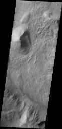 This image captured by NASA's 2001 Mars Odyssey spacecraft is located in eastern Coprates Chasma. The branching features near the bottom of the image are spurs of rock in the cliff face.