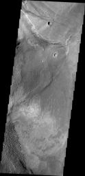 This image from NASA's 2001 Mars Odyssey spacecraft shows part of the Nili Patera dune field. Winds are blowing the dunes across a rough surface of regional volcanic lava flows. The paterae are calderas on the volcanic complex called Syrtis Major Planum.