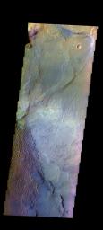 This false color image from NASA's 2001 Mars Odyssey spacecraft shows part of the Nili Patera dune field. The paterae are calderas on the volcanic complex called Syrtis Major Planum.