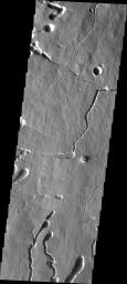 This image captured by NASA's 2001 Mars Odyssey spacecraft shows part of the southern flank of Pavonis Mons. Several faults run from the left to the right side of the image.