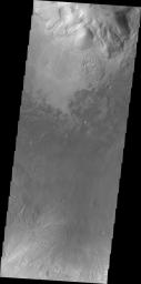 This image of Moreux Crater from NASA's 2001 Mars Odyssey spacecraft shows part of the central peak at the top of the frame, deposits of material from the crater rim at the bottom of the frame and sand dunes on the crater floor between the two.