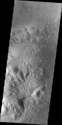 This image of Moreux Crater captured by NASA's 2001 Mars Odyssey spacecraft is dominated by the central peak. There are sand dunes on the right side of the image. Moreux Crater is located in northern Arabia Terra.