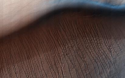 This image from NASA's Mars Reconnaisance Orbiter covers a small central portion of the Hellas Planitia basin, the largest visible impact basin in the Solar System, and shows a dune field with lots of dust devil trails.