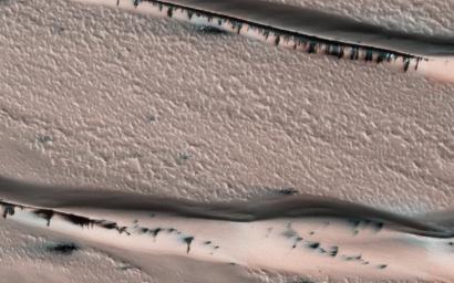 This image from NASA's Mars Reconnaisance Orbiter (MRO) shows a dune field in Chasma Boreale, which is a large trough that cuts into the North Polar ice cap.