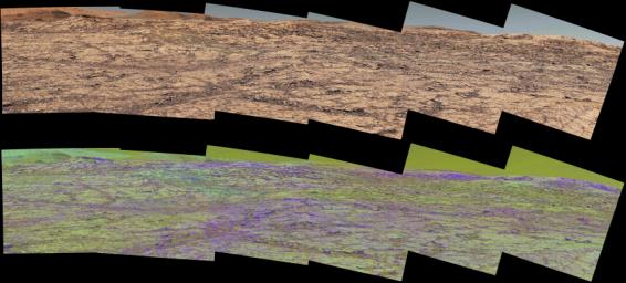 This pair of images from the Mast Camera on NASA's Curiosity rover illustrates how special filters are used to scout terrain ahead for variations in the local bedrock.