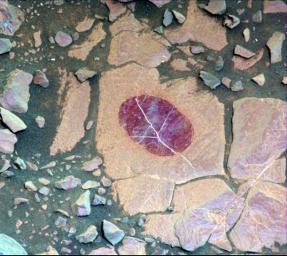 This false-color image shows how special filters of NASA's Curiosity Mars rover's Mastcam can help reveal certain minerals in target rocks. It is a composite of images taken Sept. 17, 2017.