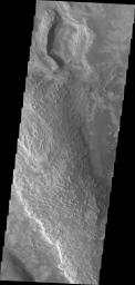 Melas Chasma is part of the largest canyon system on Mars, Valles Marineris. This image from NASA's 2001 Mars Odyssey spacecraft shows part of a large ridge of material near the south central part the canyon.