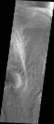 Melas Chasma is part of the largest canyon system on Mars. This image from NASA's 2001 Mars Odyssey spacecraft shows no dunes, but extensive outcrops of layered material.