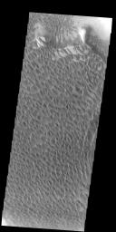 This image from NASA's 2001 Mars Odyssey spacecraft shows Rabe Crater. The majority of the dune field in Rabe Crater consists of a sand sheet with dune forms on the surface. The sand sheet is where a thick layer of sand has been concentrated.