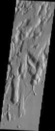 The three large aligned Tharsis volcanoes are Arsia Mons, Pavonis Mons and Ascreaus Mons (from south to north). This image from NASA's 2001 Mars Odyssey spacecraft shows part of the northeastern flank of Arsia Mons.