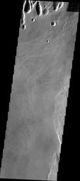 This image from NASA's 2001 Mars Odyssey spacecraft shows part of the caldera floor of Arsia Mons. Arsia Mons is the southernmost of the Tharsis volcanoes. It is 270 miles in diameter, almost 12 miles high, and the summit caldera is 72 miles wide.