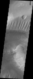 This image captured by NASA's 2001 Mars Odyssey spacecraft shows part of eastern Candor Chasma. In the middle of the image is a set of linear ridges and valleys.