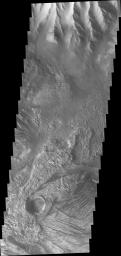 This image from NASA's 2001 Mars Odyssey spacecraft shows part of western Candor Chasma. Near the bottom of the image is an impact crater. Impact craters are relatively rare within all the canyons of Valles Marineris.
