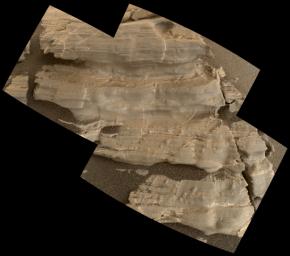 This exposure of finely laminated bedrock on Mars includes tiny crystal-shaped bumps, plus mineral veins with both bright and dark material as seen by NASA's Mars Science Laboratory Curiosity rover.