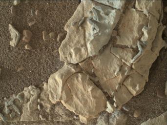 This image from NASA's Mars Science Laboratory Curiosity rover shows dark, stick-shaped features clustered on this Martian rock about the size of grains of rice.