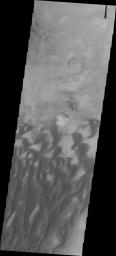 This image of Kaiser Crater from NASA's 2001 Mars Odyssey spacecraft shows a region of the dunes with varied appearances. The dune forms change from large long connected dunes, to large individual dunes, to the very small individual dunes.