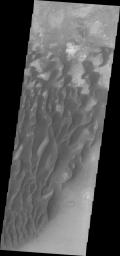 This image from NASA's 2001 Mars Odyssey spacecraft of the floor of Kaiser Crater contains several sand dune shapes and sizes. Kaiser Crater is located in the southern hemisphere in the Noachis region west of Hellas Planitia.