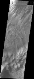 This image captured by NASA's 2001 Mars Odyssey spacecraft shows part of the floor of Tithonium Chasma. Eroded materials cover most of the image.