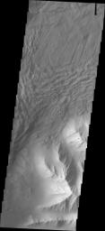 In this image captured by NASA's 2001 Mars Odyssey spacecraft a complex region of multiple overlapping landslide deposits fills most the the frame. The very top layer has the lobate edges and radial surface grooves of a low volume slide.