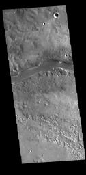 This image from NASA's 2001 Mars Odyssey spacecraft shows a section of Granicus Valles, one of several channel systems that originate near the western margin of the Elysium Mons volcanic complex.