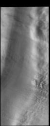 This image captured by NASA's 2001 Mars Odyssey spacecraft shows 'streamers' of clouds created by katabatic winds at the north polar cap.
