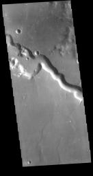 This image from NASA's 2001 Mars Odyssey spacecraft shows a section of Bahram Vallis. This channel is located in northern Lunae Planum, south of Kasei Valles.