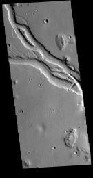 Located west of the Elysium Volcanic complex, Hebrus Valles is a complex channel system that flowed to the north. In this image from NASA's 2001 Mars Odyssey spacecraft the channel features have the appearance of a channel formed by liquid flow.