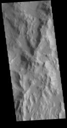 This image captured by NASA's 2001 Mars Odyssey spacecraft shows part of the 'rim' of Orcus Patera. Along the east facing ridge walls in this image multiple regions of dark slope streaks are visible. How Orcus Patera formed is a mystery.