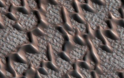 This image from NASA's Mars Reconnaissance Orbiter (MRO) shows the permanent polar cap of Mars, encircled by sand dunes and looking like pulled threads, these dunes march across a fabric of patterned ground.