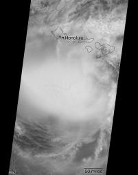 Hurricane Lane as viewed by the MISR instrument onboard NASA's Terra satellite on Aug. 24, 2018. The length of the arrows is proportional to the wind speed, while their color shows the altitude of the cloud tops in kilometers.