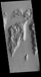 This image from NASA's Mars Odyssey shows Lycus Sulci, a very complex region surrounding the northern and western flanks of Olympus Mons featuring some of the tectonic ridges as well as the dark slope streaks that are common in this region.