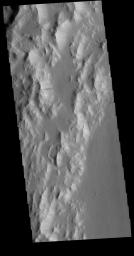 This image from NASA's Mars Odyssey shows the western margin of Orcus Patera. Dark slope streaks are present on most ridges.