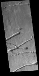 This image from NASA's Mars Odyssey shows a portion of the northern flank of Ascreaus Mons. Multiple linear depressions cut across the surface lava flows, having formed after the surface in this region.