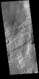 This image from NASA's Mars Odyssey shows a section of Sirenum Fossae. The linear features are called graben. Graben are formed by blocks of material sliding downward between pairs of faults.