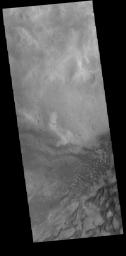 This image from NASA's Mars Odyssey shows part of the floor of Russell Crater, including sand dunes of mulitple sizes. Russell Crater is located in Noachis Terra.
