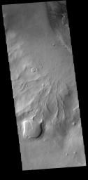 This image from NASA's Mars Odyssey shows numerous channels, also called gullies, dissecting the rim of this unnamed crater in Noachis Terra.