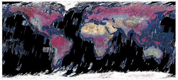 This mosaic was created from thumbnail browse images of data from NASA's Terra spacecraft.