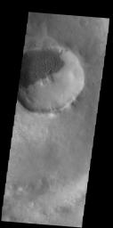 This image from NASA's Mars Odyssey shows dark dunes filling part of the floor of this unnamed crater in Terra Sirenum. There are numerous gullies on the rim of the crater.