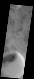 This image from NASA's Mars Odyssey shows an unnamed crater in Terra Cimmeria has both a sand sheet with dune forms and a multitude of dust devil tracks.