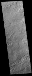 This image from NASA's Mars Odyssey shows a small portion of the extensive volcanic plains of Daedalia Planum.