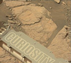 NASA's Curiosity Mars rover took this image with its Mastcam on Feb. 10, 2019 (Sol 2316). The rover is currently exploring a region of Mount Sharp nicknamed Glen Torridon that has lots of clay minerals.