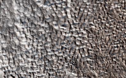 This image acquired on December 11, 2018 by NASA's Mars Reconnaissance Orbiter, shows a surface texture of interconnected ridges and troughs, referred to as 'brain terrain', found throughout the mid-latitude regions of Mars.