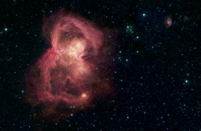 This image by NASA's Spitzer Space Telescope shows W40, a nebula, or a giant cloud of gas and dust.