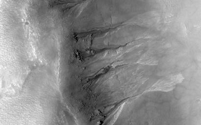 This image acquired on September 23, 2023 by NASA's Mars Reconnaissance Orbiter shows a crater located in Acidalia Planitia. It is in an area of elongated mounds and hosts a variety of gully forms on its interior slopes.