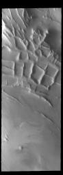 This image from NASA's Mars Odyssey shows Angustus Labyrinthus, a unique region near the south polar cap.