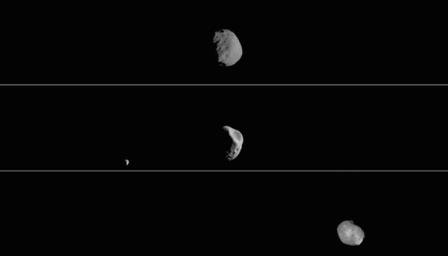 Each of the three panels is a series of images taken on different dates. Deimos, Mars' other moon, can also be seen in the second panel.